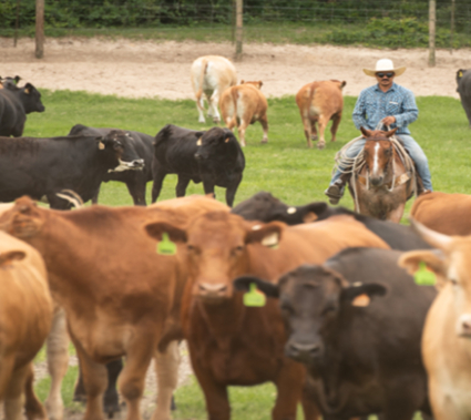 GettyImages 1478140339